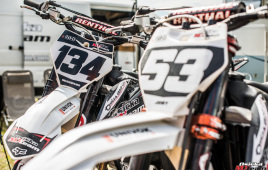 KOZ7831