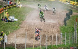 DSC_9664-2