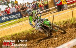 1669244383e2420cb8df570e215d40b7-radeklavickaadacaichwald20151178