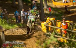 258a0b37be664ceaa0625f1cd4dfc1e1-radeklavickaadacbielstein20151503