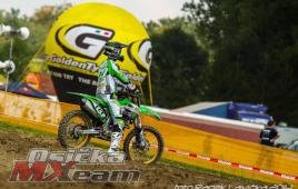 0135d66b841f4a389c34dcfadad4b5a8-adacholzgerlingen2014566