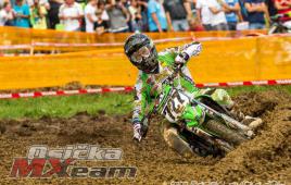 198d42006066440f827f6cf0143207c8-adacholzgerlingen20141725