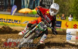 2be0f665945e4385b46dc3f503e4df35-adacholzgerlingen2014370