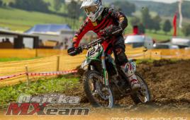 78e58d90eb8c463cbba31c381610897a-adacholzgerlingen2014352