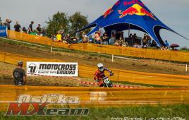 a6a668a5685b44a1ae9bf00f3398ee39-adacholzgerlingen2014365