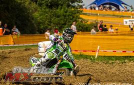 b91cf576201b47aa863a48881a8b7d45-adacholzgerlingen2014487