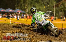 cae4b88d2fb64b2ba1fb6dd124b61b9a-adacholzgerlingen2014526