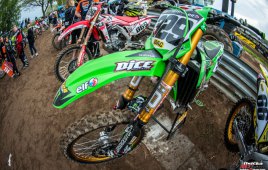 KOZ7856-Edit-kopie-kopie