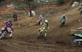 6abbe140b20d4c1386c7ba37add0b113-img_5649_0