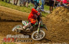 8978a64e0779429e909c6316524ec828-csmsopatov2014389